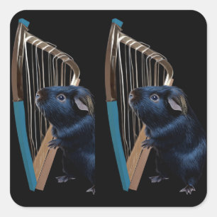 Pegatina Cuadrada Serenata de medianoche del abisinio
