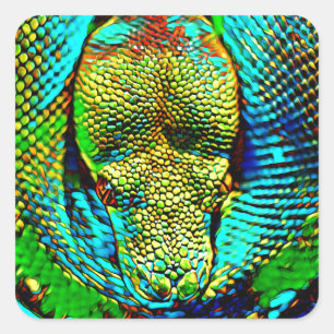 Pegatina Cuadrada Serpiente arcoiris
