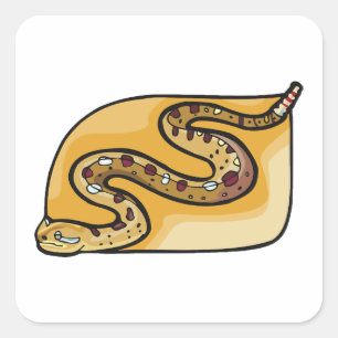 Pegatina Cuadrada Serpiente de cascabel enroscada Desierto del suroe