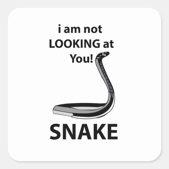 Pegatina Cuadrada Serpiente No te estoy mirando gracioso Serpiente (Anverso)