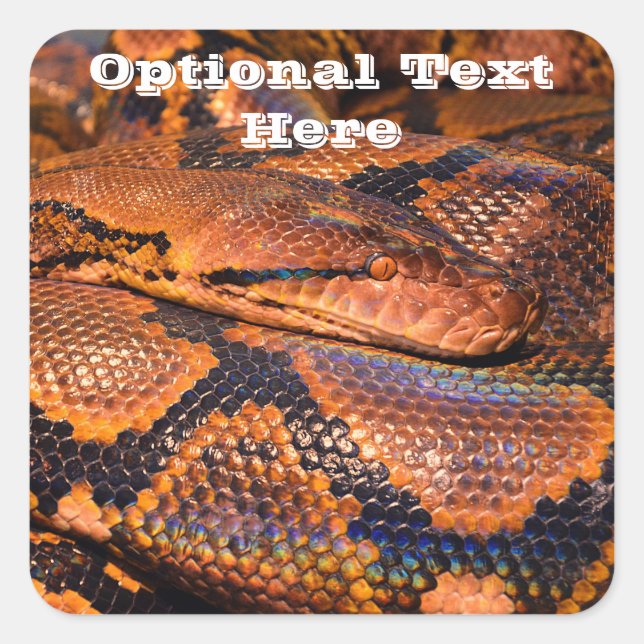 Pegatina Cuadrada Serpiente Python (Anverso)