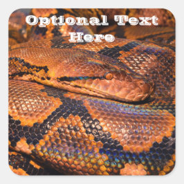 Pegatina Cuadrada Serpiente Python