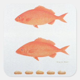 Pegatina Cuadrada Servicios cinco mil 2005