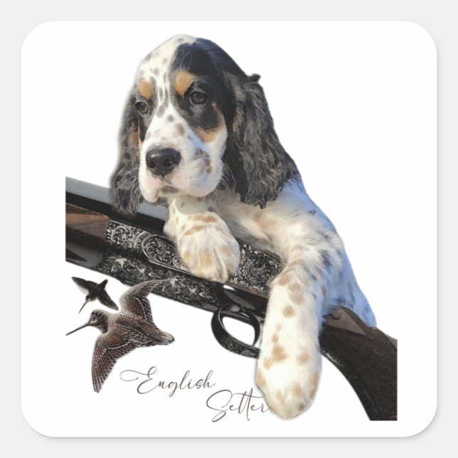 Pegatina Cuadrada Setter inglés, adorable cachorro (Anverso)