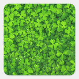Pegatina Cuadrada Shamrock Clovers Green Irish Symbol Irlanda