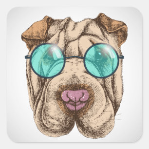 Pegatina Cuadrada Sharpei En Gafas De Sol