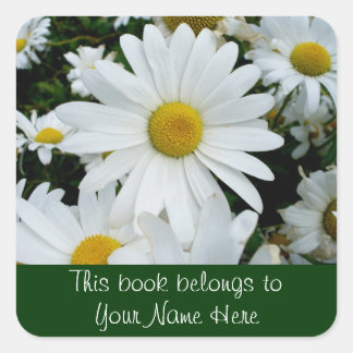 Pegatina Cuadrada Shasta Daisies Foto