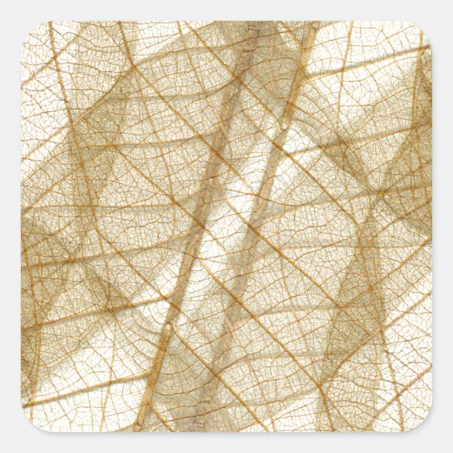 Pegatina Cuadrada Sheer Cream Beige Lace Leaves (Anverso)