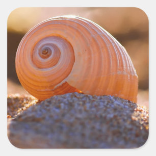 Pegatina Cuadrada Shell Bokeh Greece
