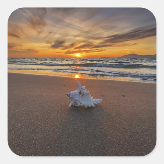 Pegatina Cuadrada Shell En La Playa Al Azar | Isla Kos (Anverso)