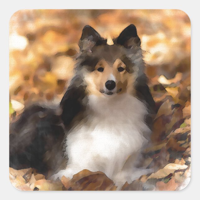 Pegatina Cuadrada Sheltie Shetland Sheepdog Art Painting (Anverso)