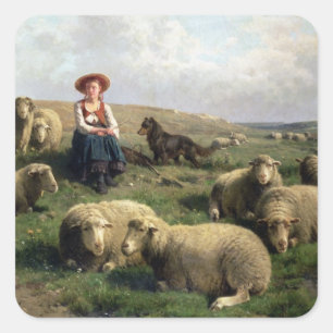 Pegatina Cuadrada Shepherdess con las ovejas en un paisaje