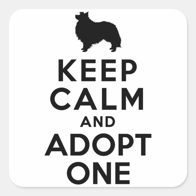 Pegatina Cuadrada Shetland Sheepdog (Anverso)