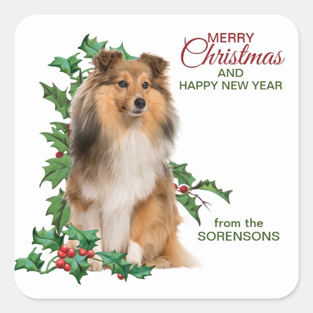 Pegatina Cuadrada Shetland Sheepdog Red Berry Holly Navidad (Anverso)