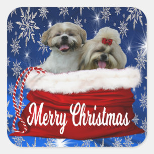 Pegatina Cuadrada Shih tzu Christmas Stickers