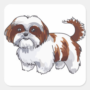 Pegatina Cuadrada Shih Tzu Dog