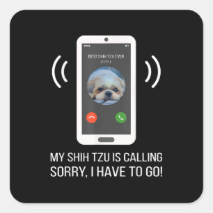 Pegatina Cuadrada Shih Tzu Lover   Perro Shih Tzu gracioso