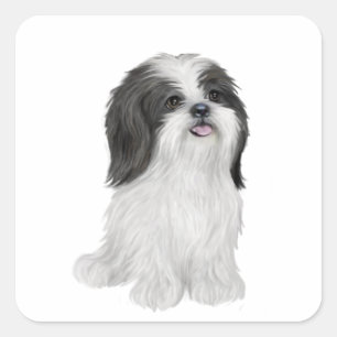 Pegatina Cuadrada Shih Tzu - negro y blanco (por JF)