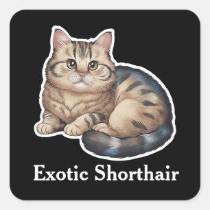 Pegatina Cuadrada Shorthair exótico