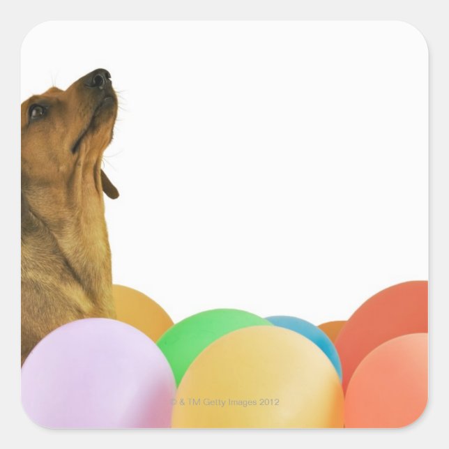 Pegatina Cuadrada Shot de estudio (Anverso)