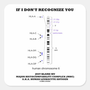 Pegatina Cuadrada Si no reconozco usted apenas culpa mi biología de