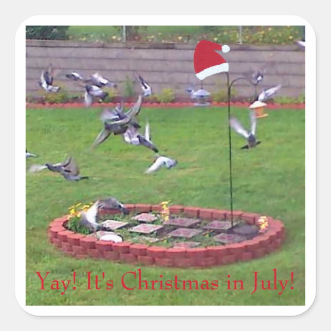 Pegatina Cuadrada ¡Sí! Son Navidades en julio, pájaros en el aliment (Anverso)