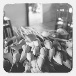 Pegatina Cuadrada Siem Reap Camboya, Flores de Loto