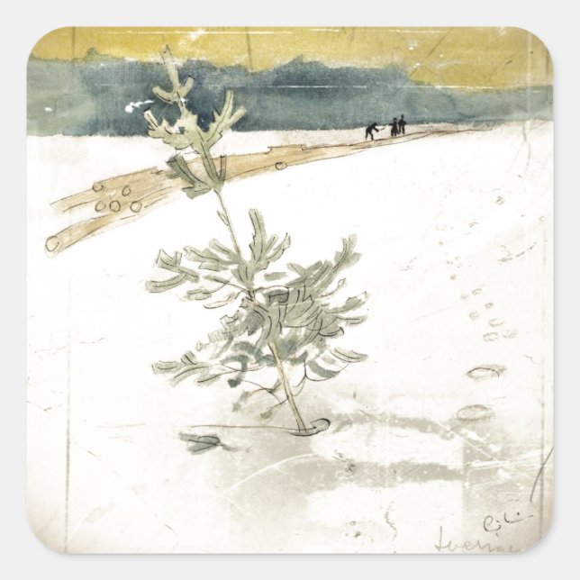 Pegatina Cuadrada Siempre verde (Anverso)