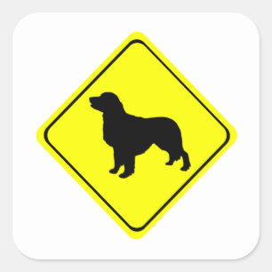 Pegatina Cuadrada Signo de advertencia de Golden Retriever Love Dogs