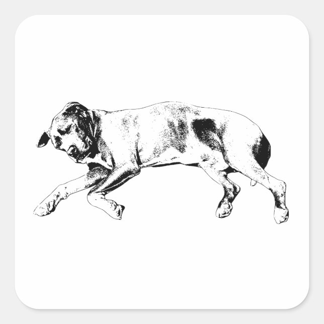 Pegatina Cuadrada Silent Night Stretch (Anverso)