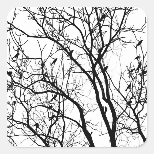 Pegatina Cuadrada Silhouette de pájaro por Therese Kramer (Anverso)