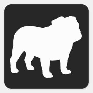 Pegatina Cuadrada Silueta de Bulldog Inglés Blanco