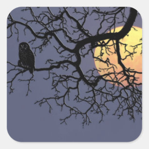 Pegatina Cuadrada Silueta de la luna de sangre y la lechuza nocturna