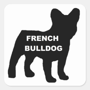 Pegatina Cuadrada silueta de nombre de bulldog francés