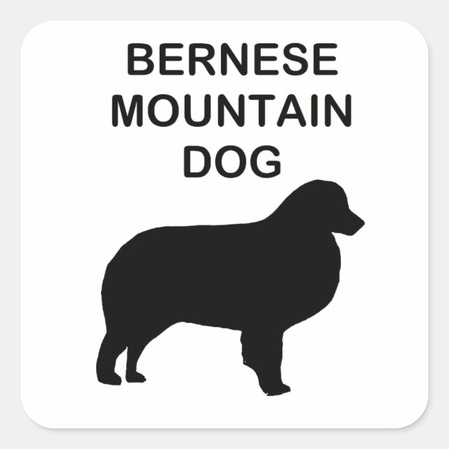 Pegatina Cuadrada silueta de perro de montaña bernesa con nombre (Anverso)