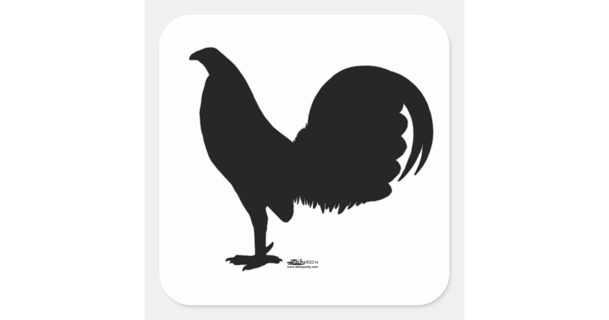 Pegatina Cuadrada Silueta del gallo del gallo de pelea | Zazzle.es