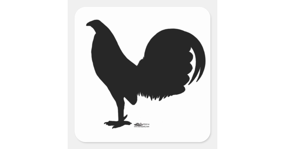 Pegatina Cuadrada Silueta del gallo del gallo de pelea | Zazzle.es