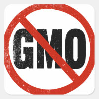 Sin OMG, sin OMG, marcha contra Monsanto
