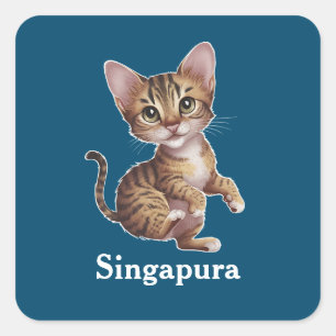 Pegatina Cuadrada Singapur