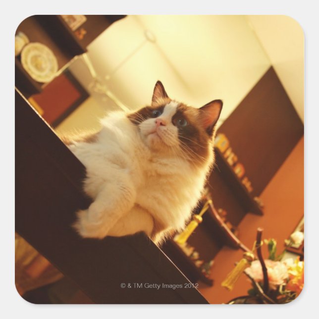 Pegatina Cuadrada Singapur 6 (Anverso)