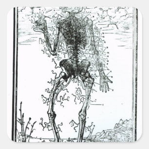 Pegatina Cuadrada Sistema vascular del cuerpo