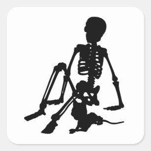 Pegatina Cuadrada skeleton Boy y su arte de silueta de gato mascota