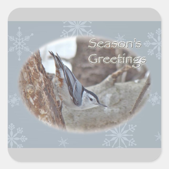 Pegatina Cuadrada Slate Gray Nuthatch Songbird Seasons Greetings (Anverso)