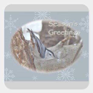 Pegatina Cuadrada Slate Gray Nuthatch Songbird Seasons Greetings