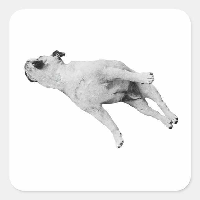 Pegatina Cuadrada Sleeper Cutout, Noel Edition (Anverso)