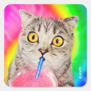 Pegatina Cuadrada Slushie para el consumo de gato