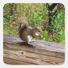 Pegatina Cuadrada Snack Attack