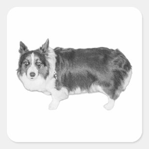 Pegatina Cuadrada Snack Scout certificado