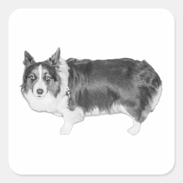 Pegatina Cuadrada Snack Scout certificado (Anverso)