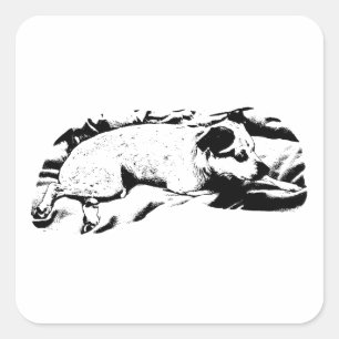 Pegatina Cuadrada Snoozer de ojos laterales, líneas de crisp